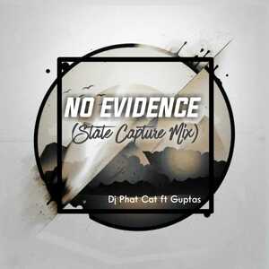 DJ Phat Cat No Evidence State Capture Mix ft Guptas Mp3 Download Safakaza