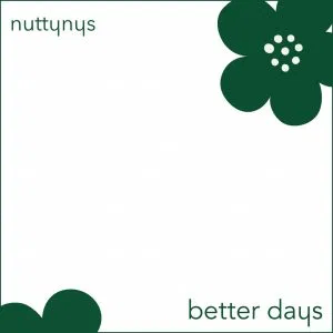 Nutty Nys Better Days Mp3 Download Safakaza