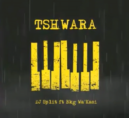 DJ Split Tshwara ft Bkg Wa’Kasi Mp3 Download Safakaza