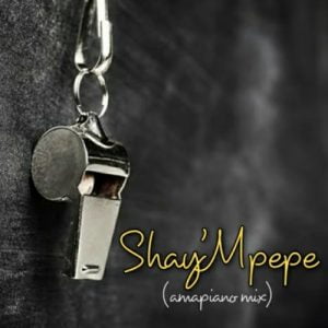 Muzzy D Pilot Shay’mpempe Amapiano Mix Mp3 Download Safakaza
