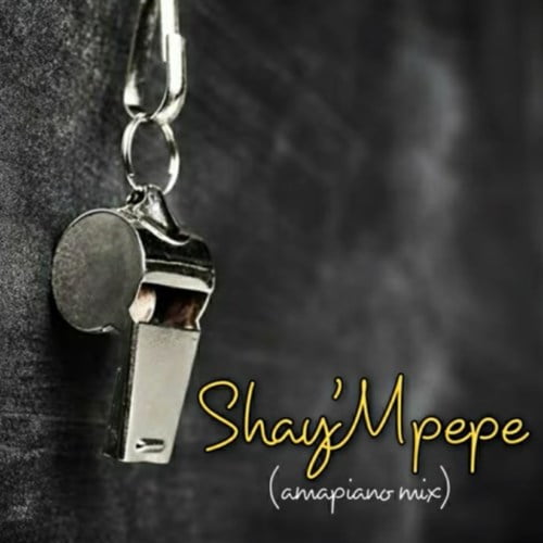 Muzzy D Pilot Shay’mpempe Amapiano Mix Mp3 Download Safakaza
