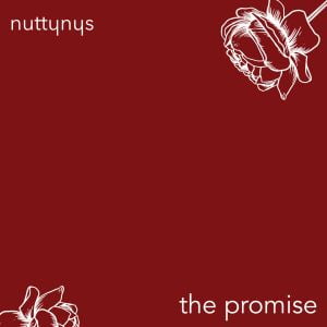 Nutty Nys The Promise Mp3 Download Safakaza