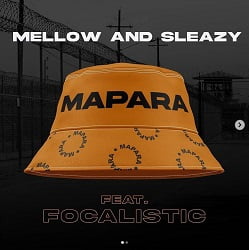 Mellow & Sleazy Mapara ft. Focalistic Mp3 SAfakaza Download