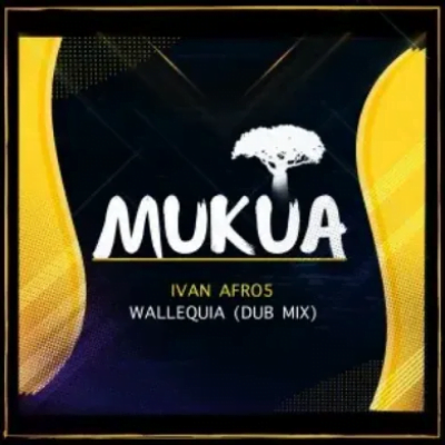 Ivan Afro5 Wallequia Dub Mix Mp3 Download SaFakaza