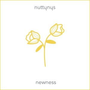 Nutty Nys Newness Mp3 Download SaFakaza