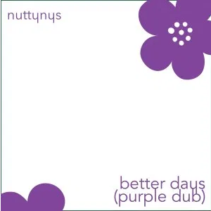 Nutty Nys Better Days Purple Dub Mp3 Download SaFakaza