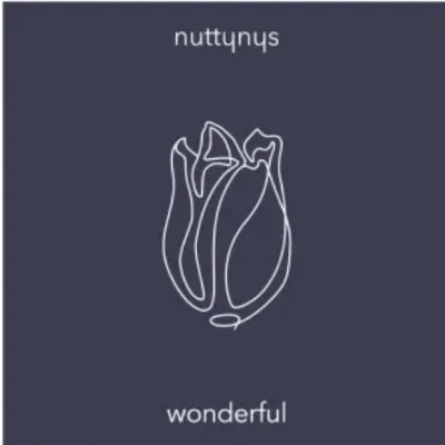 Nutty Nys Wonderful Original Mix Mp3 Download SaFakaza