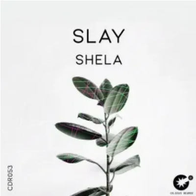 Slay SA Shela Original Mix Mp3 Download SaFakaza