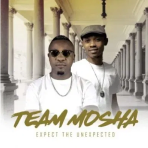 Team Mosha Shonamalanga ft Shimza & Twist Mp3 Download SaFakaza