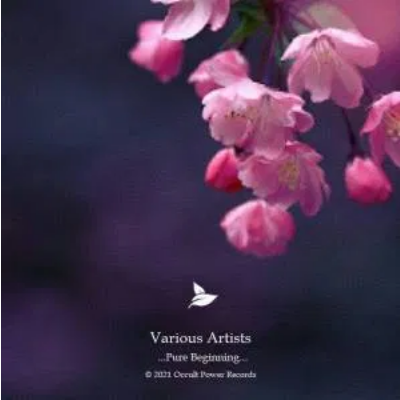 VA Pure Beginning Vol. 1 Mp3 Download SaFakaza