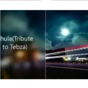 Adrean Da DJ Thula Tribute to Tebza Mp3 Download SaFakaza