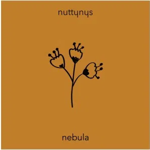 Nutty Nys Nebula Mp3 Download SaFakaza