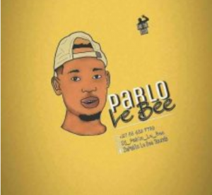 Pablo Le Bee Baby Boy Vigro Deep Mp3 Download SaFakaza