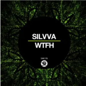 Silvva WTFH Original Mix Mp3 Download SaFakaza