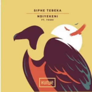 Siphe Tebeka Ndiyekeni Edit ft Toshi Mp3 Download SaFakaza