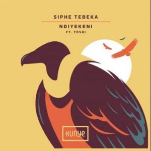 Siphe Tebeka Ndiyekeni Mozaik Remix ft Toshi Mp3 Download SaFakaza