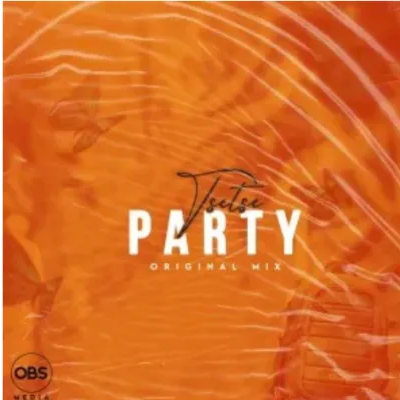 Tsetse Party Original Mix Mp3 Download SaFakaza