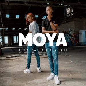 Alfa Kat & TidoSoul Moya EP Zip Download