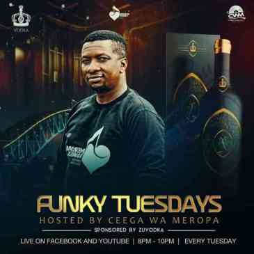 Ceega Funky Tuesdays Mix 11-May