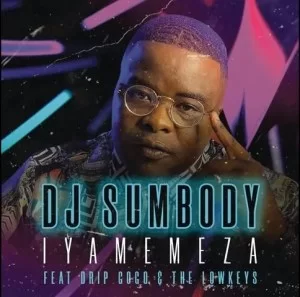 DJ Sumbody Iyamemeza ft Drip Gogo & The Lowkeys Mp3 Download SaFakaza