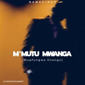 Namadingo Mupfungwa Dzangu Mp3 Download SaFakaza
