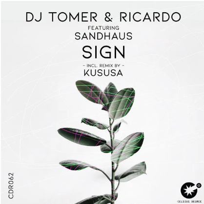 DJ Tomer Sign Kususa Remix Mp3 Download SaFakaza