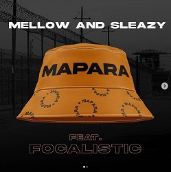 Mellow & Sleazy – Zimbali ft Daliwonga