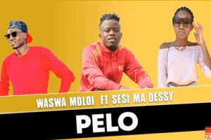 Waswa Moloi – Pelo ft Sesi Ma Dessy