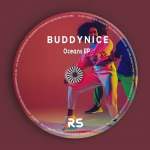 Buddynice Idlozi Lam (Original Mix) Mp3 Download Safakaza