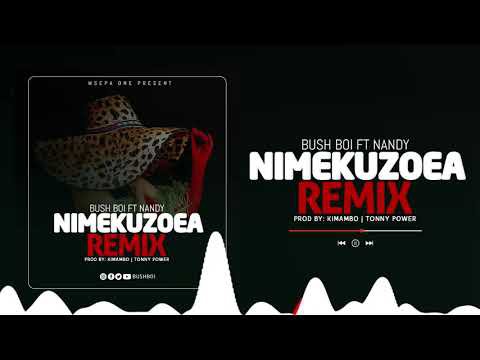 Bush Boi Ft Nandy – Nimekuzoea Remix