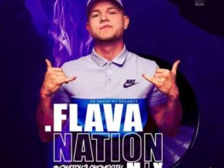 Dalootz Flava Nation Mix (CK Smooth) Mp3 Download Safakaza