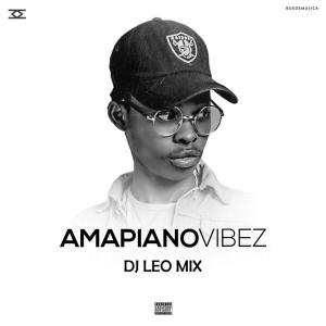 Dj Léo Mix Amapiano Vibez Mixtape Mp3 Download safakaza 