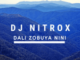 Dj Nitrox Dali Zobuya nini Mp3 Download Safakaza