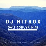Dj Nitrox Dali Zobuya nini Mp3 Download Safakaza