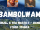 Kabza De Small & Soa Matrixx – Bambolwam ft Young Stunna