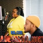 Kabza de small Idlozi ft. Nokwazi & Various Artists Mp3 Download Safakaza