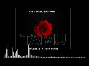 Mabeste ft Mimi Mars – Tamu