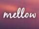 Mellow & Sleazy ft. M.J – Temptation
