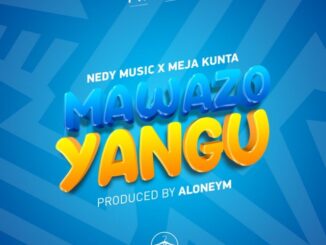 Nedy Music Ft. Meja Kunta – Mawazo Yangu