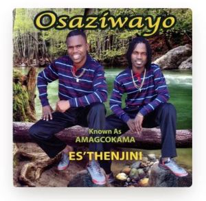 Osaziwayo Es’Thenjini Mp3 Download Safakaza