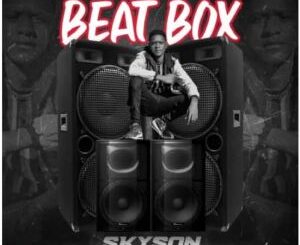 Skyson Beatbox Mp3 Download Safakaza