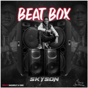 Skyson Beatbox Mp3 Download Safakaza