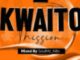 SoulMc_Nito-S Kwaito Mission Vol.10 Mix Mp3 Download Safakaza