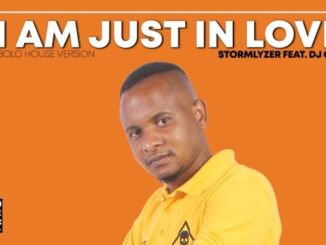 Stormlyzer I Am Just In Love – DJ Cee (Original) Mp3 Download Safakaza