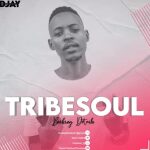 TribeSoul – Resonate (Main Soulfied)