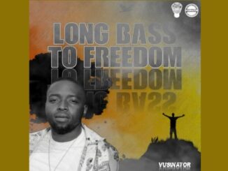 Vusinator Long Bass to Freedom Mp3 Download Safakaza