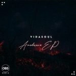 Vida-Soul Amadamara Album Download Safakaza