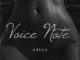 Allyz Voice Note Mp3 Download Safakaza