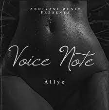 Allyz Voice Note Mp3 Download Safakaza