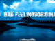 DJ Flavio Bad Feelings (Original Mix) Mp3 Download Safakaz
